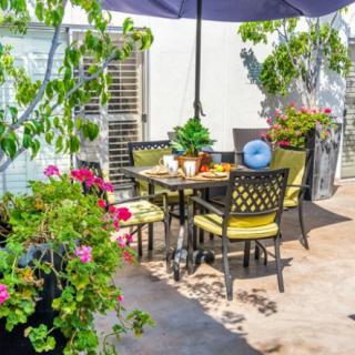 A sunny patio with a dining set surrounded by lush plants and vibrant flowers.