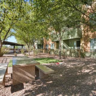 A serene outdoor area with benches under the shade of lush trees.