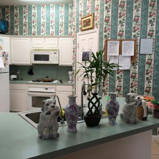 A cozy kitchen featuring decorative vases and plants against a patterned wallpaper.