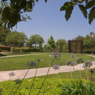 A serene garden landscape with a pathway, surrounded by lush greenery and blooming flowers.