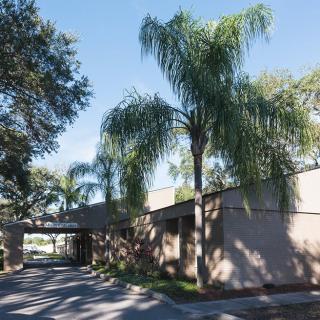 A building surrounded by palm trees under a clear blue sky.