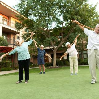 A group of seniors engaging in outdoor exercise on a grassy lawn.