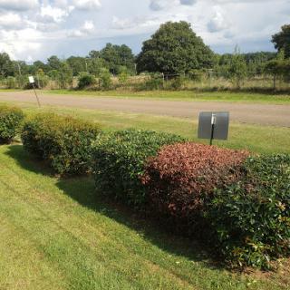 A serene view of a landscaped area with colorful bushes, a grassy field, and a distant road under a partly cloudy sky.