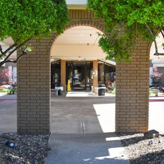 An inviting entrance framed by lush greenery, leading into a well-lit lobby.