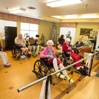A group of seniors participating in an exercise session at a community or rehabilitation center.