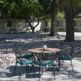 A peaceful outdoor patio area with a table and four chairs, surrounded by trees.