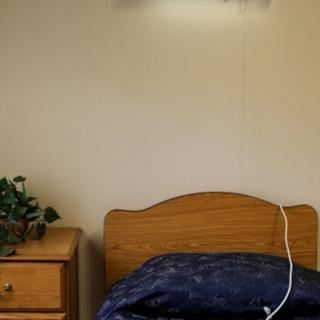 A cozy bedroom setup with a wooden bed, nightstand, and a small lamp, adorned by a leafy plant.