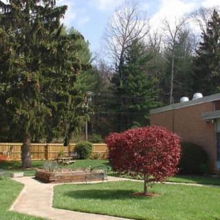 A peaceful garden with trees and a pathway near a building.