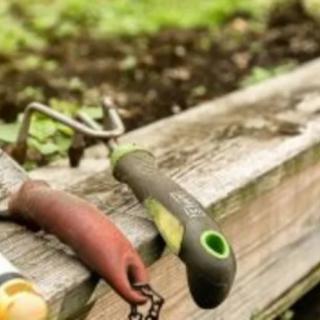 A selection of gardening tools rests on the edge of a raised garden bed.