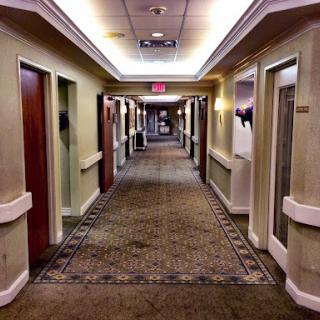 A well-lit hotel hallway featuring multiple doors along a carpeted floor.