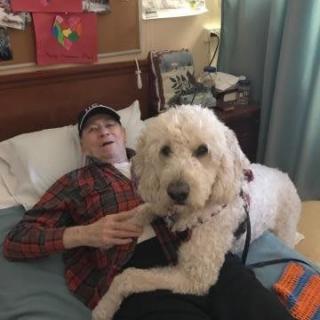 A man lying in a hospital bed with a large dog sitting on him, providing comfort.