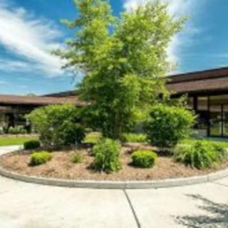 A well-maintained courtyard with lush greenery and a central tree.