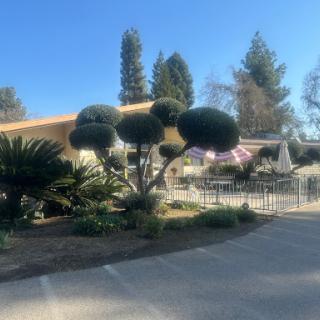 A meticulously landscaped garden featuring uniquely shaped trees and outdoor seating areas under a clear blue sky.