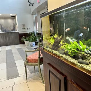 A brightly lit lobby featuring a large aquarium with vibrant plants and fish.