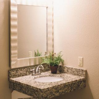 A bathroom corner with a granite countertop sink and decorative plant.
