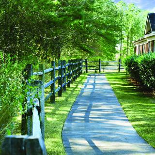A sunny pathway lined with trees and a wooden fence, adjacent to a house.