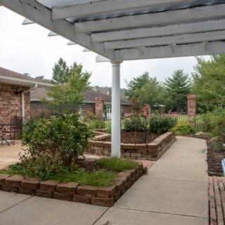 A well-maintained garden with a pergola and walkway.