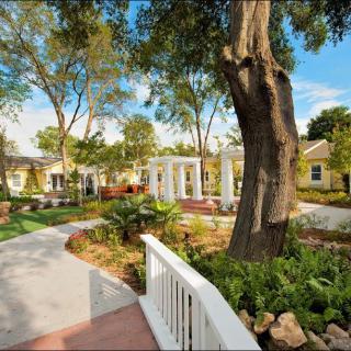 A serene garden with a winding pathway and lush greenery.