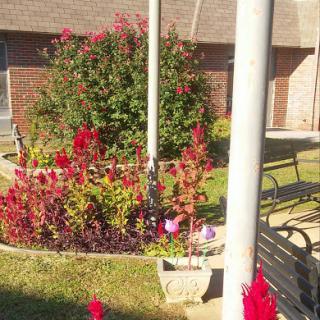 A vibrant garden filled with colorful flowers and greenery, complemented by a nearby bench for relaxation.