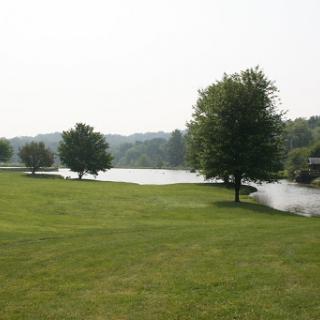 A serene view of a lake surrounded by lush greenery and trees.