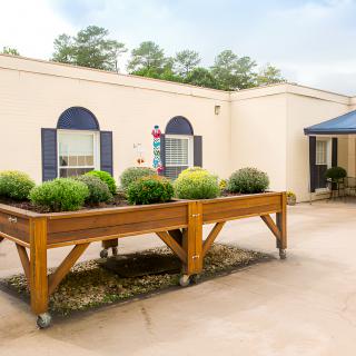 An elevated wooden planter filled with lush greenery outside a light-colored building with blue shutters.