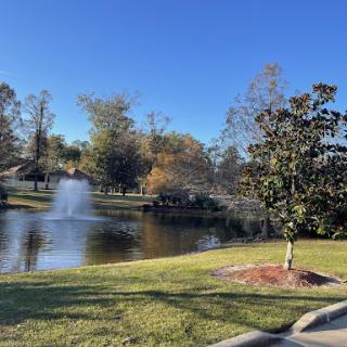A peaceful park scene featuring a lake surrounded by trees under a clear blue sky.