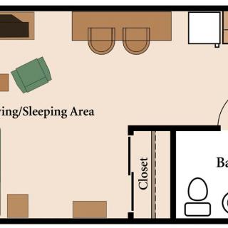 This image shows a floor plan of a studio apartment with a living/sleeping area, kitchen, closet, and bathroom.
