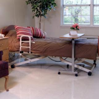 A hospital room featuring a medical bed, a bedside table, and an indoor plant.