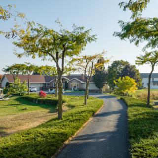 A serene pathway lined with trees, leading through a lush park on a clear day.
