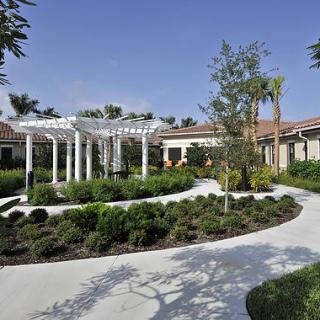 A beautiful garden with a pergola and winding pathway surrounded by lush greenery on a sunny day.
