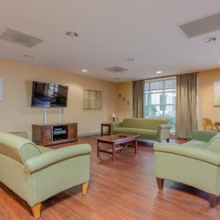 A cozy and inviting living room featuring green sofas and warm wooden flooring.