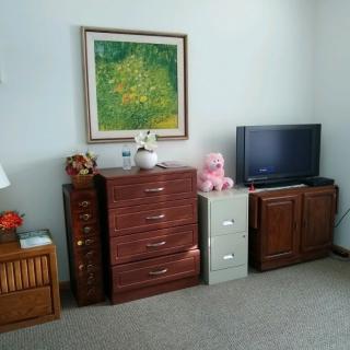 A neatly arranged room featuring a dresser, file cabinet, and TV stand with a television. A colorful painting hangs on the wall above, complemented by decorative items including a stuffed toy.