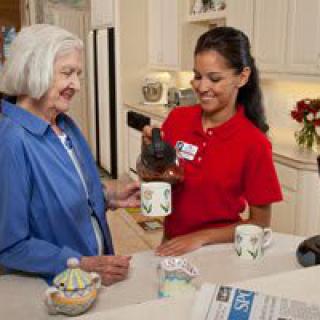 Professional Caretakers
