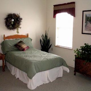A cozy bedroom featuring a single bed with green bedding and decorative plants, illuminated by natural light through the window.