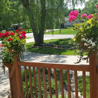 A sunny day with a view of a garden and blooming flowers from a wooden deck.