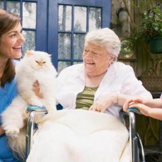 A nurse and an elderly woman in a wheelchair enjoy time with a cat.