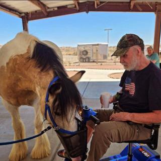 A man sits with a horse in an outdoor setting, engaging in a relaxing interaction.