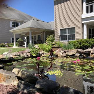 A tranquil garden scene featuring a pond with water lilies, surrounded by rocks and greenery, adjacent to residential buildings.