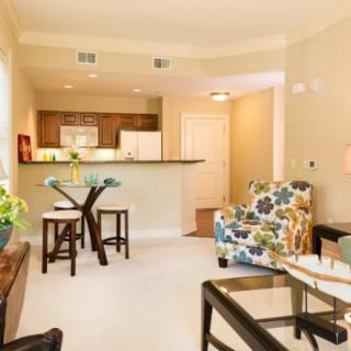 A modern open-plan living and kitchen area featuring elegant furniture and vibrant decor.