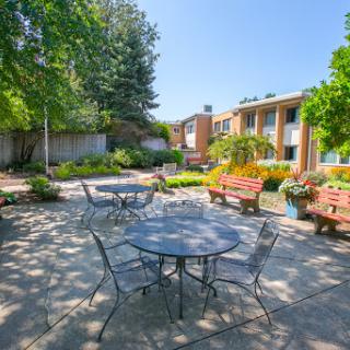 A serene outdoor seating area surrounded by lush greenery on a sunny day.