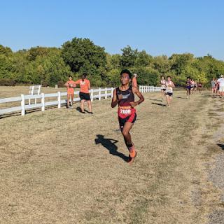 A runner competes in a cross-country race on a sunny day.