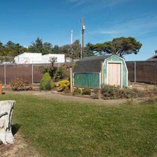 A garden landscape featuring a green shed, surrounded by trees and bordered by a fence.