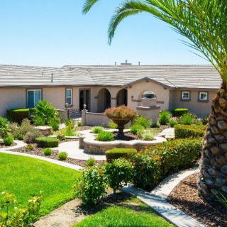 A beautifully landscaped yard with a modern house and palm tree under a sunny sky.