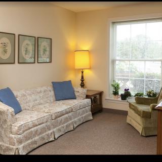 A cozy living room with a patterned sofa, blue cushions, a lamp, and plants by the window.