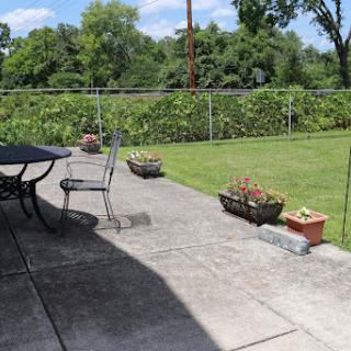 A serene patio space featuring a table, a chair, and potted plants surrounded by lush greenery.