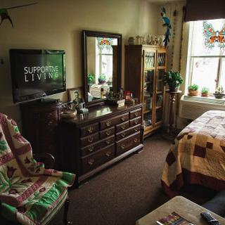 A cozy bedroom with a dresser, TV, and chair, featuring a quilt-covered bed and several plants by the window.