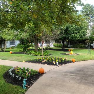 A well-maintained garden with pathways, pumpkins, and lush greenery.