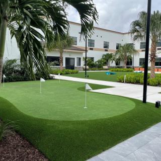 A modern residential area featuring a well-manicured outdoor putting green surrounded by palm trees.