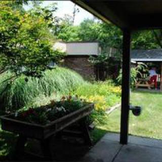 A lush green backyard garden with a variety of plants and trees, creating a serene outdoor space.
