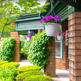 A charming house exterior with lush greenery, vibrant hanging flowers, and well-maintained shrubs.